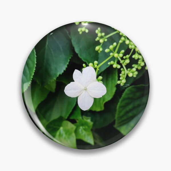 Item preview, Five White Petals designed and sold by Bee Buddy Photography.