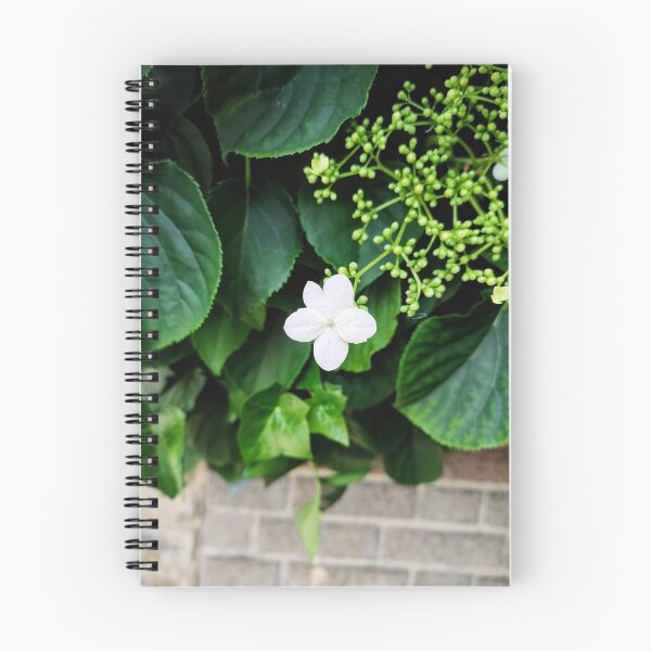 Item preview, Five White Petals designed and sold by Bee Buddy Photography.
