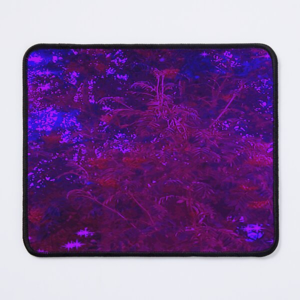 Item preview, Gorgeous Berry Tree Photograpy designed and sold by Rainbowland123.