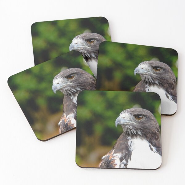 Item preview, Majestic Harris Hawk Portrait with Sharp Focus and Natural Bokeh Background designed and sold by ThaCriações.