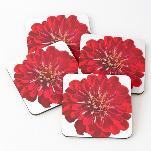 Item preview, Red Zinnia designed and sold by Shoreline Photography .