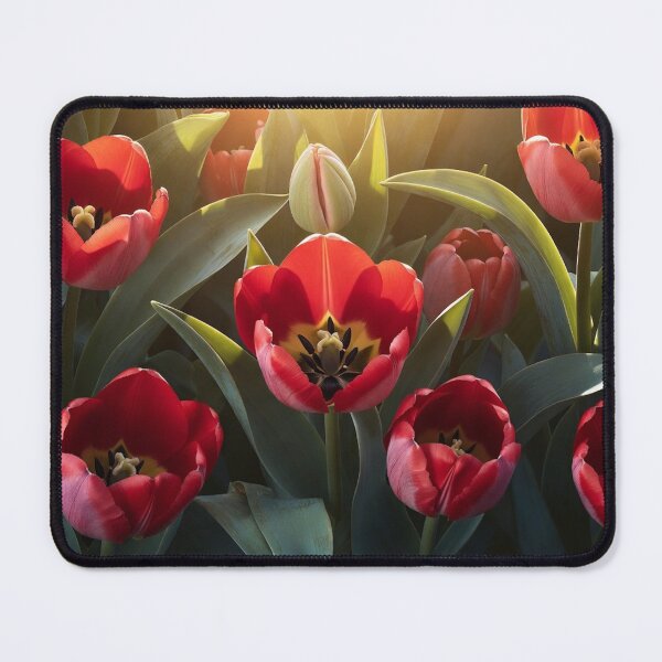 Item preview, Dramatic Red Tulips In Garden Spring Floral Art designed and sold by IntelliMindDesigns.