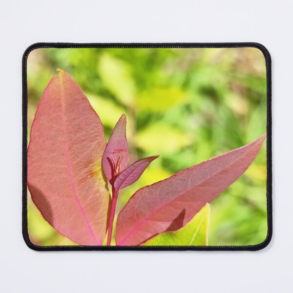 Item preview, Keep Growing - Botanical Red Leaf Photography designed and sold by PicturePic.
