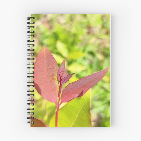 Item preview, Keep Growing - Botanical Red Leaf Photography designed and sold by PicturePic.
