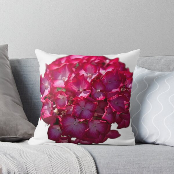 Item preview, Hydrangea  designed and sold by Shoreline Photography .