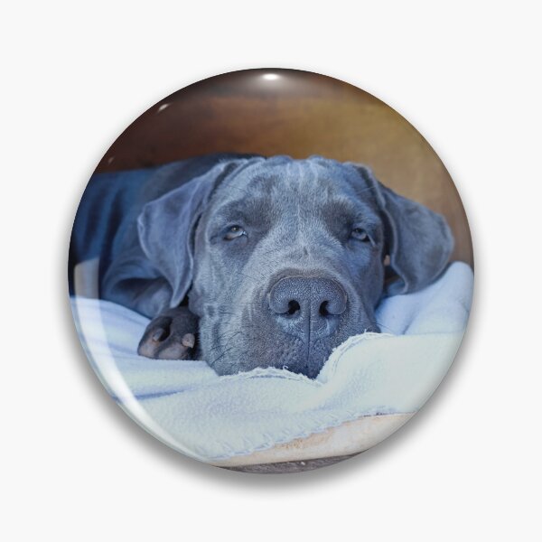 Item preview, Cane Corso in his doghouse designed and sold by PicturePic.