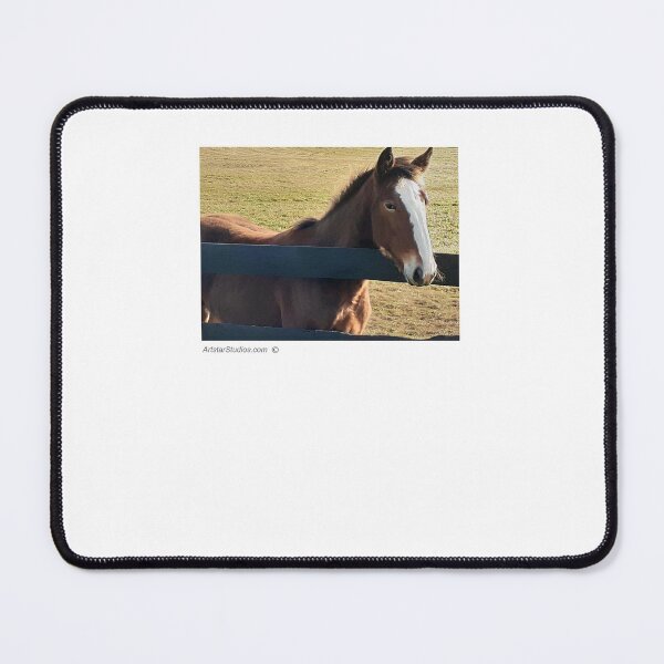 Item preview, Horse scratching chin on fence. designed and sold by ArtstarStudios.