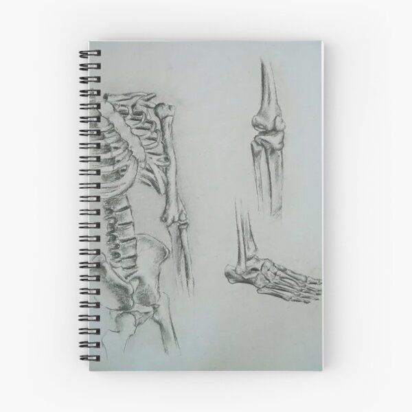 Item preview, Skeleton sketch designed and sold by Waste Brain.