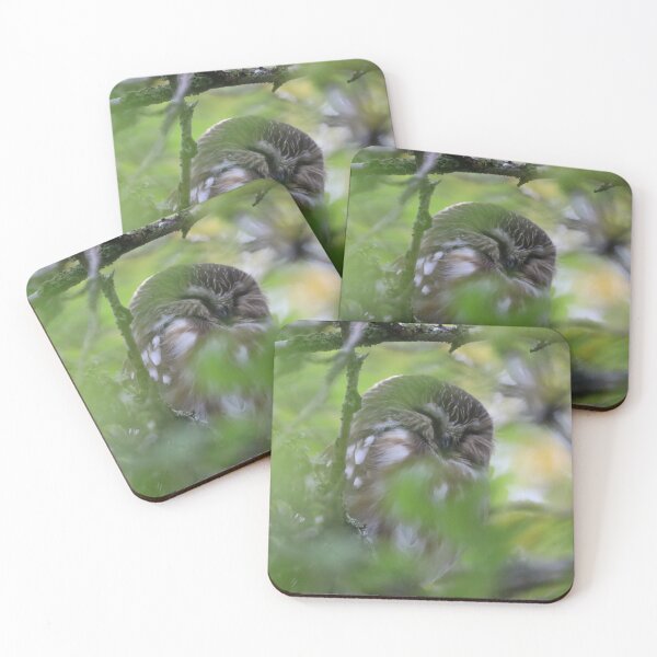 Item preview, Sleeping Northern Saw-whet Owl  designed and sold by northernflicker.