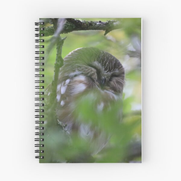 Item preview, Sleeping Northern Saw-whet Owl  designed and sold by northernflicker.
