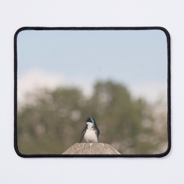 Item preview, Little Bird, Big World designed and sold by northernflicker.