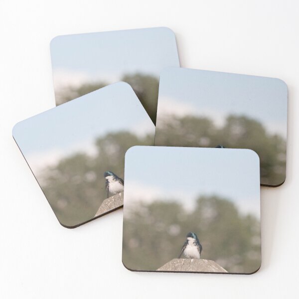 Item preview, Little Bird, Big World designed and sold by northernflicker.