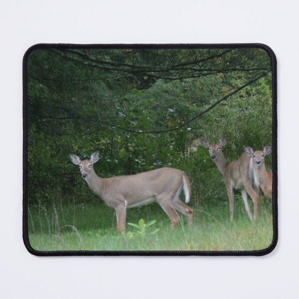 Item preview, three young lady Doe's designed and sold by Digital2dreams.