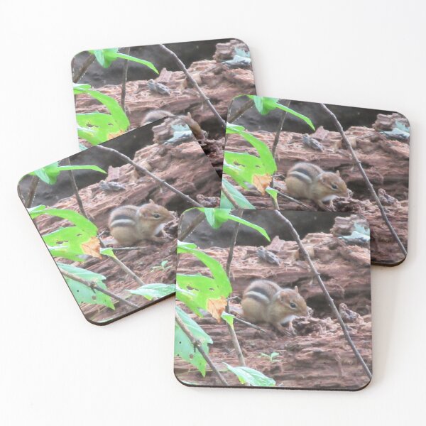 Item preview, Chipmunk on Tree designed and sold by TurtlesPhotoCo.