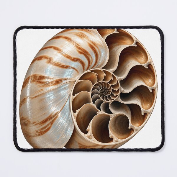 Item preview, Nautilus Spiral Fibonacci Ocean Art designed and sold by ROVVI.