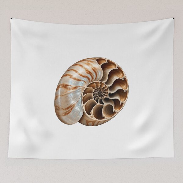 Item preview, Nautilus Spiral Fibonacci Ocean Art designed and sold by ROVVI.