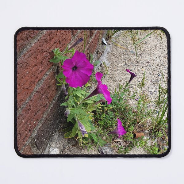 Item preview, Petunias Reclining on the Sidewalk designed and sold by concretebotany.