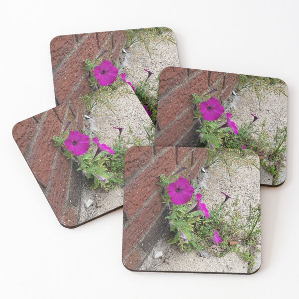 Item preview, Petunias Reclining on the Sidewalk designed and sold by concretebotany.