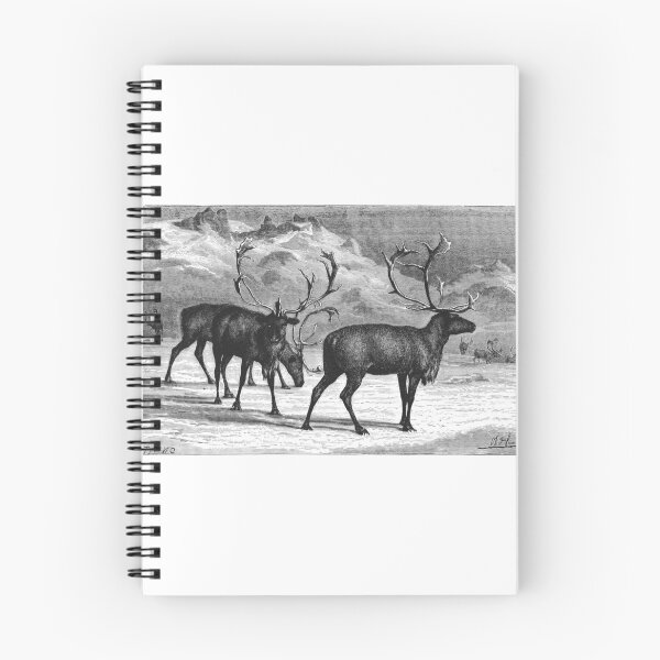 Item preview, Vintage Reindeer Antler Engraving Art designed and sold by Antique Science Press.