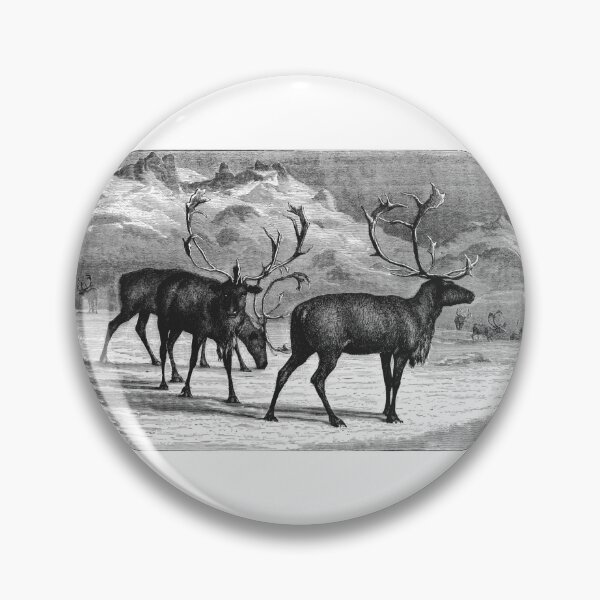 Item preview, Vintage Reindeer Antler Engraving Art designed and sold by Antique Science Press.