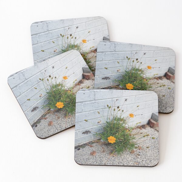Item preview, Sidewalk Sulfur Cosmos on 11th St. designed and sold by concretebotany.