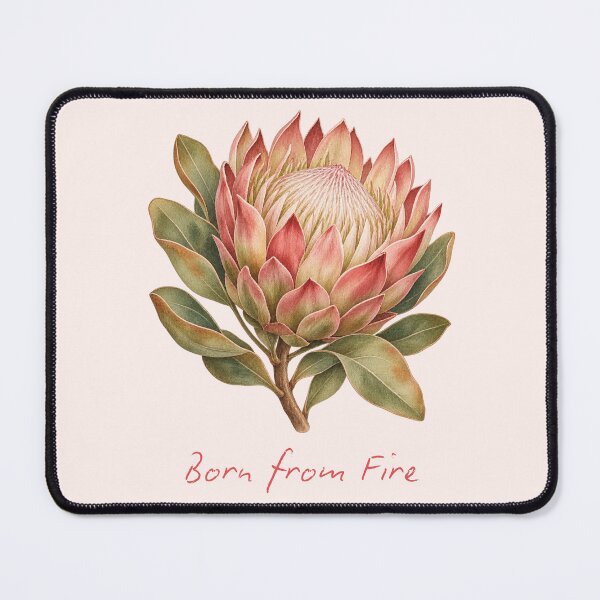 Item preview, Born from Fire King Protea Watercolor designed and sold by mycute-stickers.
