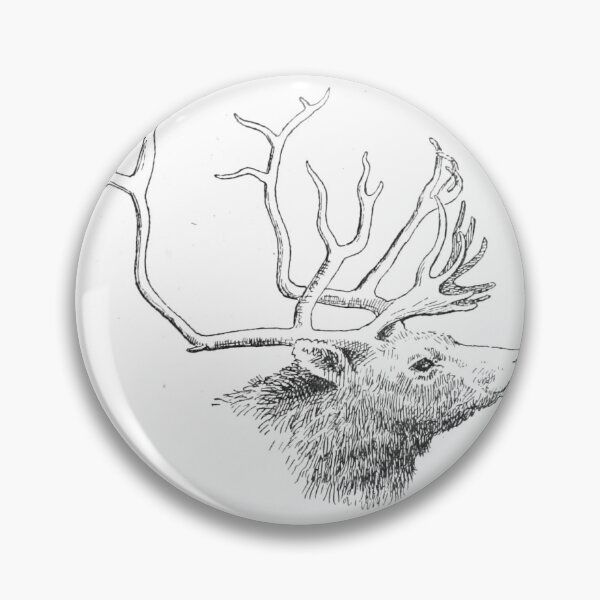 Item preview, Vintage Stag Antler Head Scientific Illustration designed and sold by Antique Science Press.