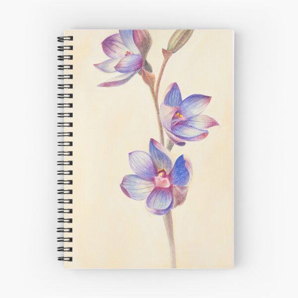 Item preview, Sun Orchid Botanical Ink Art designed and sold by FionaBao.