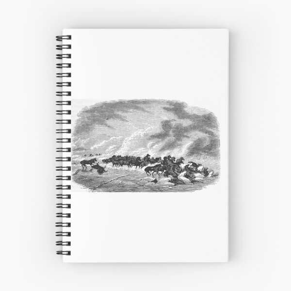 Item preview, Vintage Wild Horses Stampede Antique Engraving designed and sold by Antique Science Press.