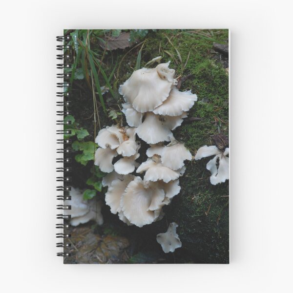 Item preview, Mushroom 1 designed and sold by KentuckyRed.