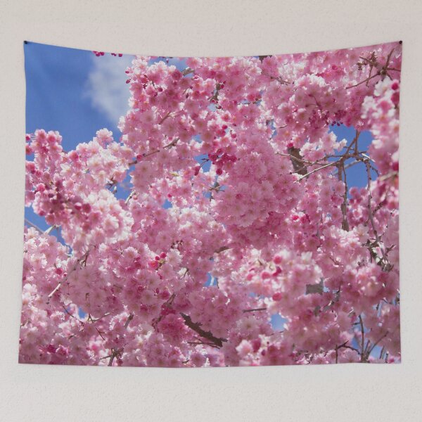 Aperçu de l'œuvre Photographie de cerisiers en fleurs créée et vendue par JenDGraphicDesign.