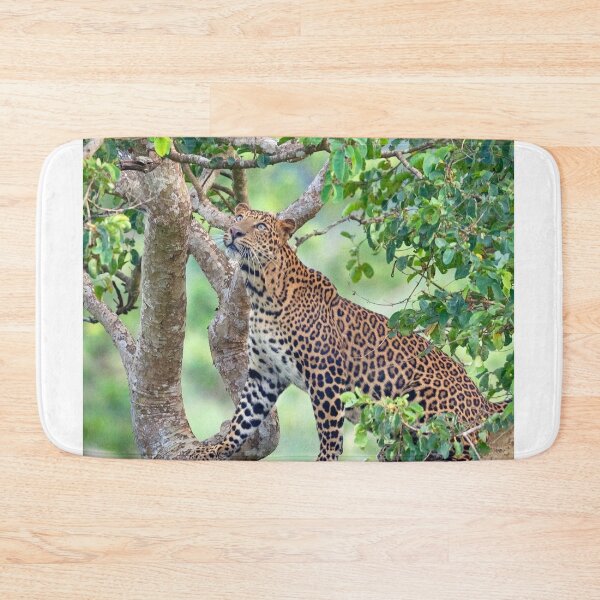 Item preview, Chrome Airwalk aVapor Dreams designed and sold by fwidhantos.