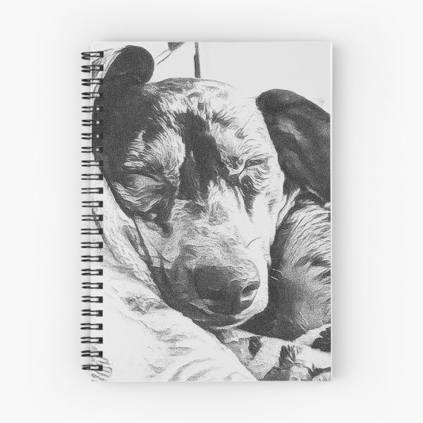 Item preview, Vintage Charcoal Dapple Dachshund Sketch Art designed and sold by Long Dog Digital Art .