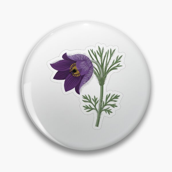 Item preview, Dark Purple Pasque Flower Botanical Illustration designed and sold by Owcomm.