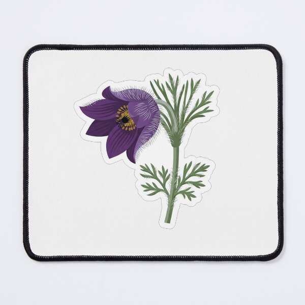 Item preview, Dark Purple Pasque Flower Botanical Illustration designed and sold by Owcomm.