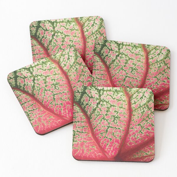 Item preview, Caladium Bicolor designed and sold by JenDGraphicDesign.