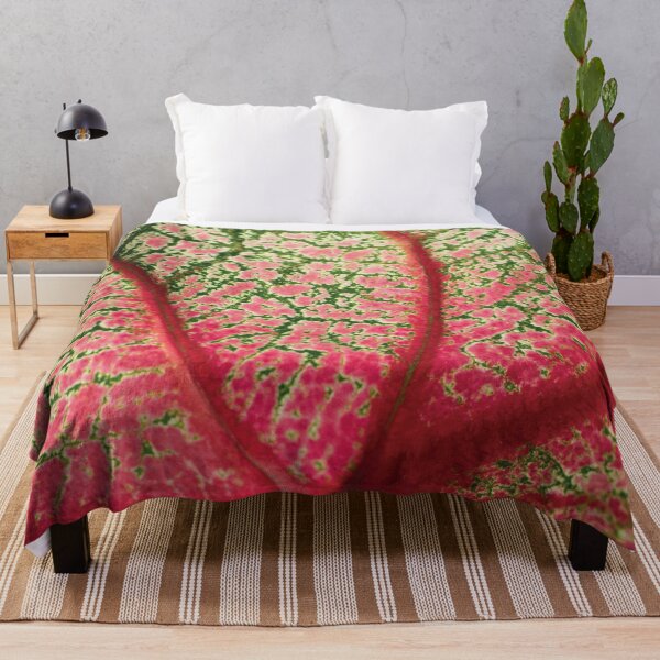 Item preview, Caladium Bicolor designed and sold by JenDGraphicDesign.