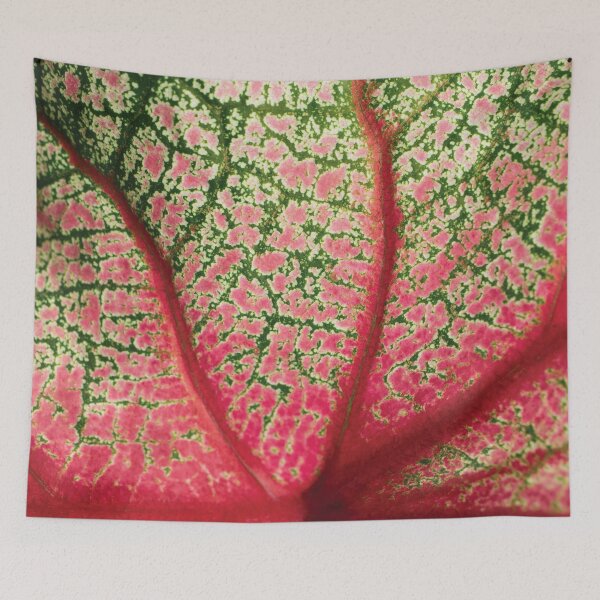 Item preview, Caladium Bicolor designed and sold by JenDGraphicDesign.