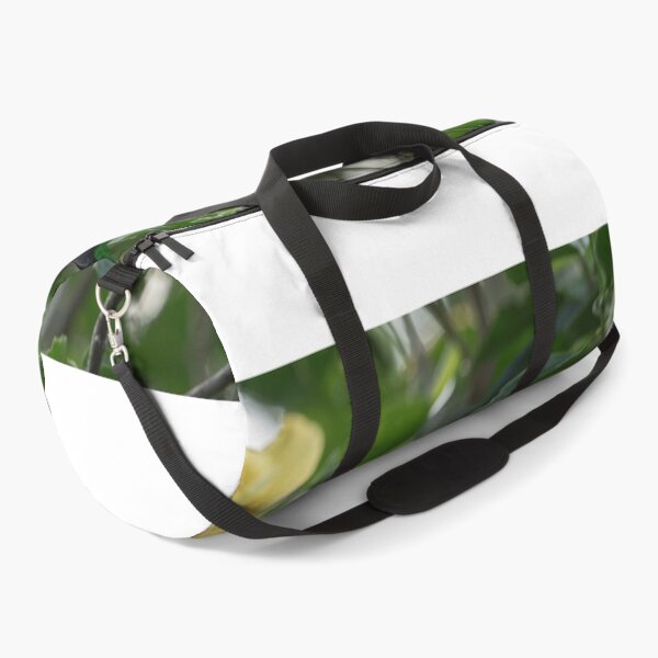 Item preview, Taco Alcatel Mobile eTuesday Needs Me. designed and sold by Markjueazley.