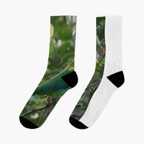 Item preview, Taco Alcatel Mobile eTuesday Needs Me. designed and sold by Markjueazley.