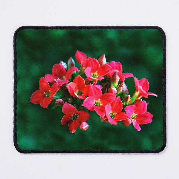 Item preview, Summertime! designed and sold by heatherfriedman.