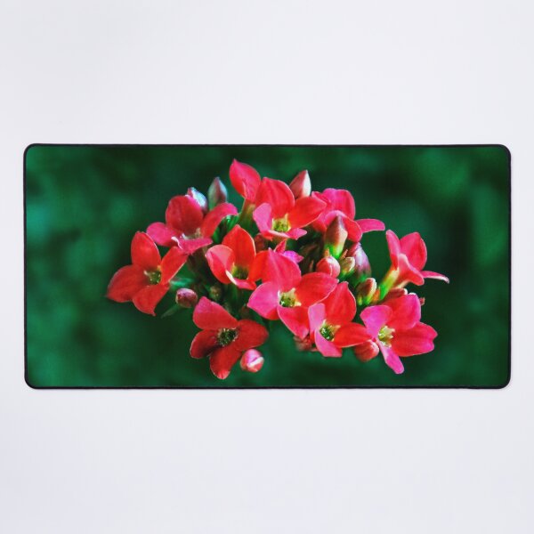 Item preview, Summertime! designed and sold by heatherfriedman.