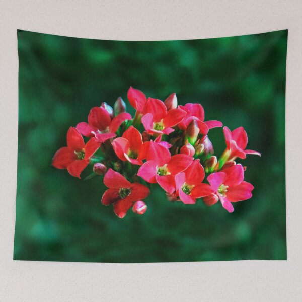 Item preview, Summertime! designed and sold by heatherfriedman.