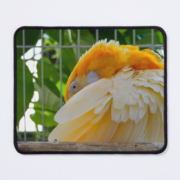 Item preview, Fries Alcatel Mobile aBefore Guys Always. designed and sold by Markjueazley.