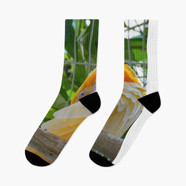 Item preview, Fries Alcatel Mobile aBefore Guys Always. designed and sold by Markjueazley.