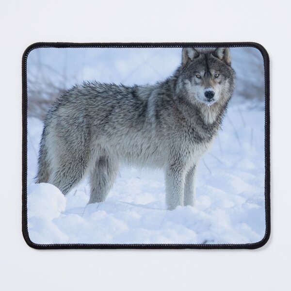 Item preview, My Brain Alcatel Mobile Needs Snacks. designed and sold by Markjueazley.