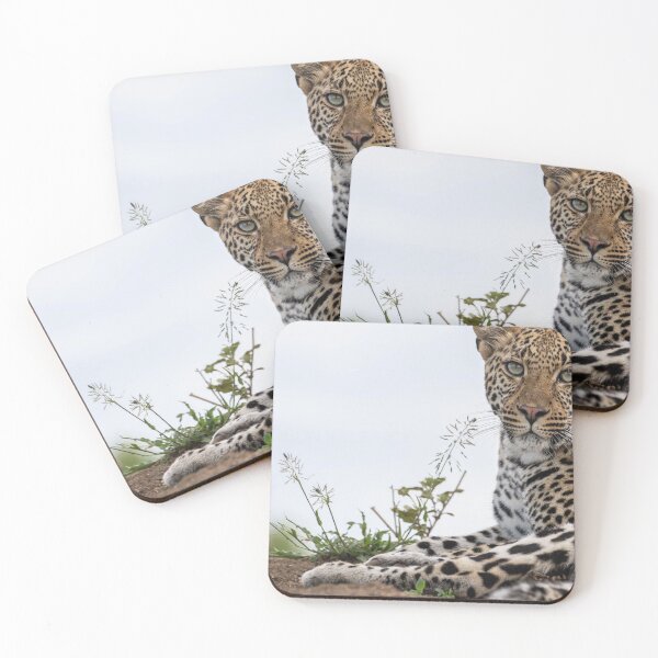 Item preview, Too Cute Albert Heijn For Mondays. designed and sold by Markjueazley.