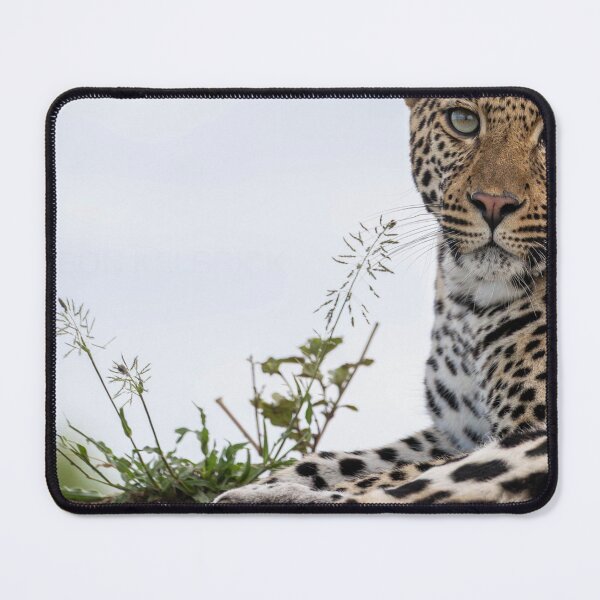 Item preview, Too Cute Albert Heijn For Mondays. designed and sold by Markjueazley.
