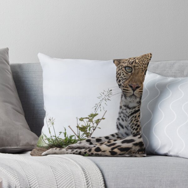 Item preview, Too Cute Albert Heijn For Mondays. designed and sold by Markjueazley.