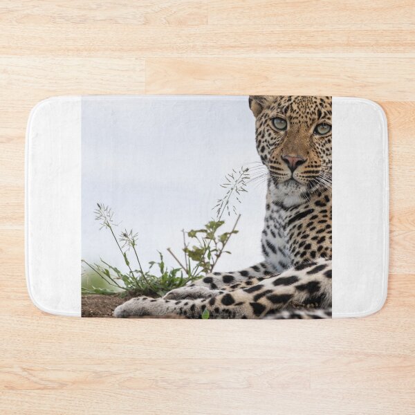 Item preview, Too Cute Albert Heijn For Mondays. designed and sold by Markjueazley.